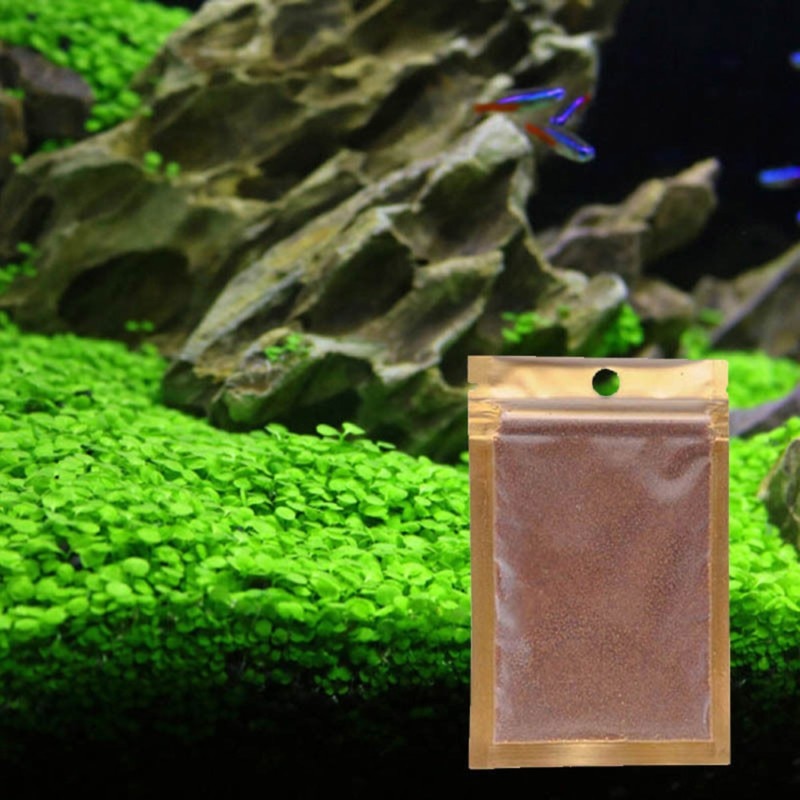 planted tank seeds Beautiful Aquarium Grass Seeds Water Aquatic Green Plants Fish Tank De – Diannt Store